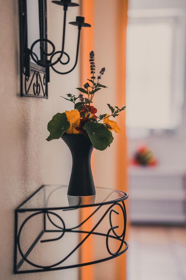 Coraline -Koblach, 6-10 P, 3 Schlafzimmer, Kueche, Riesige Terrasse, Parkplatz, Wifi, Stellplatz Ski Kültér fotó
